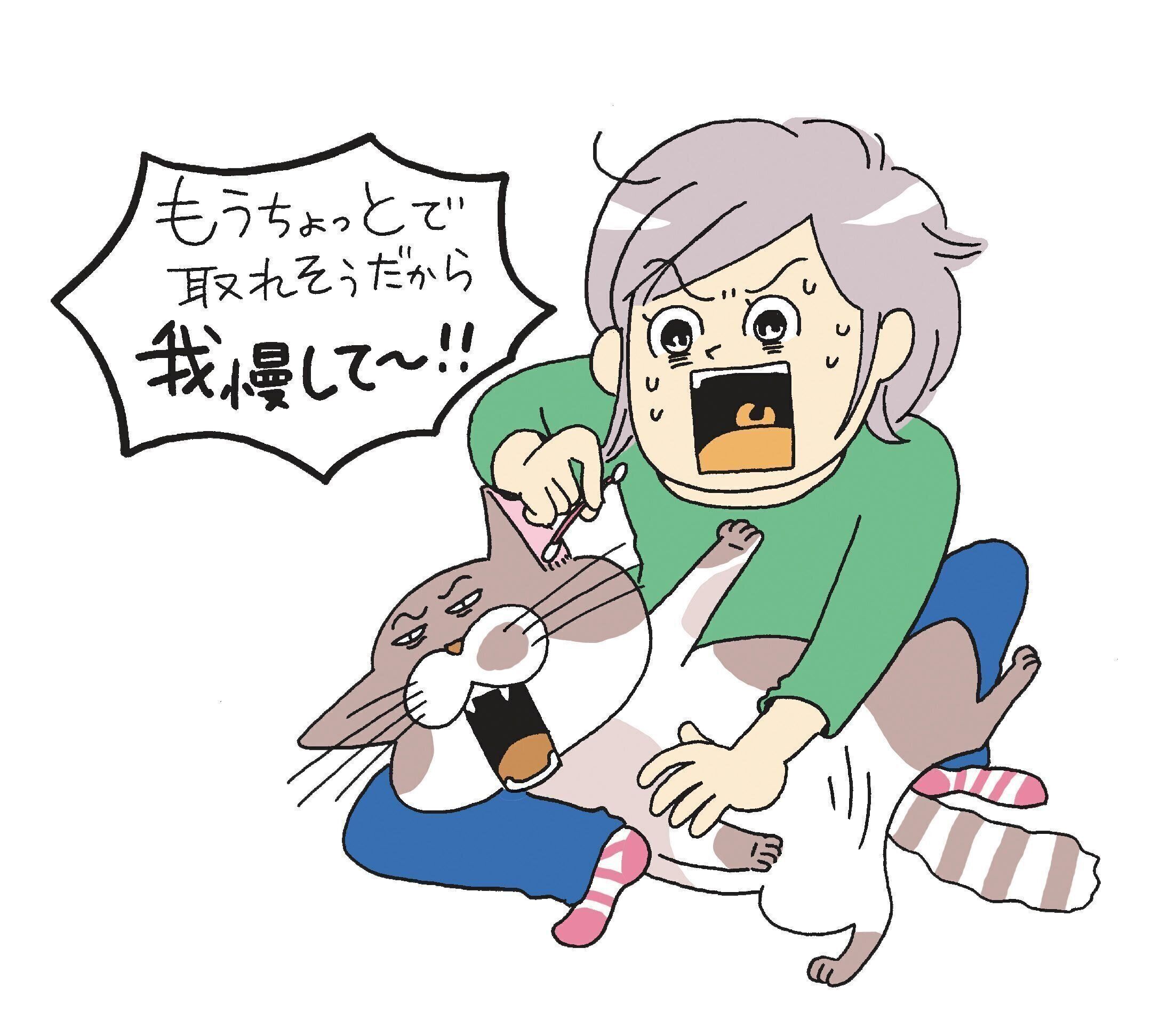 イラスト／おぐらなおみ