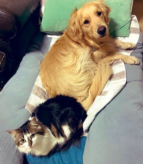 まったりするさんちゃん、まるくん