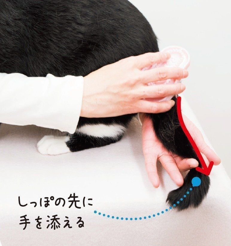 撮影／中川文作