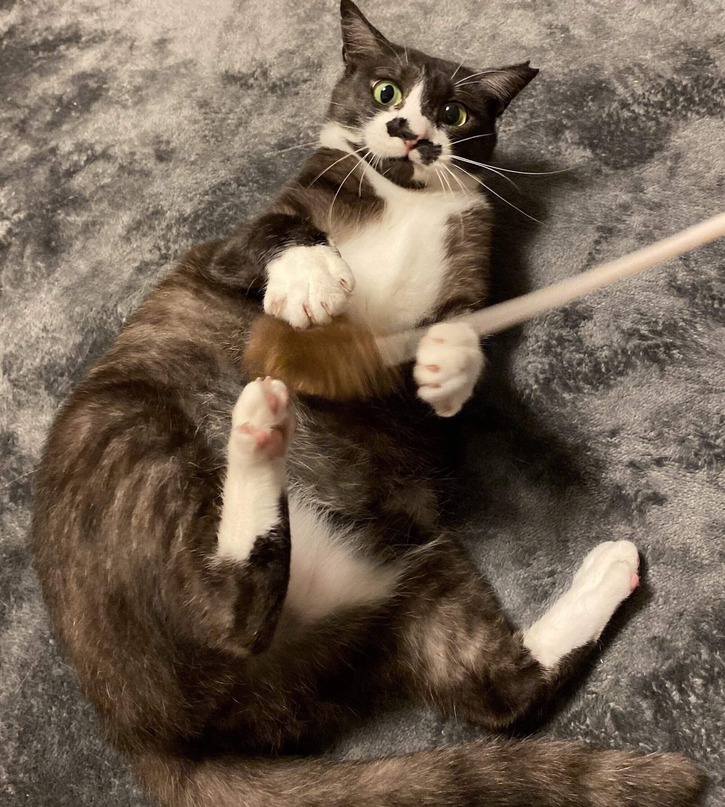 おもちゃに飛びつく結月ちゃん。