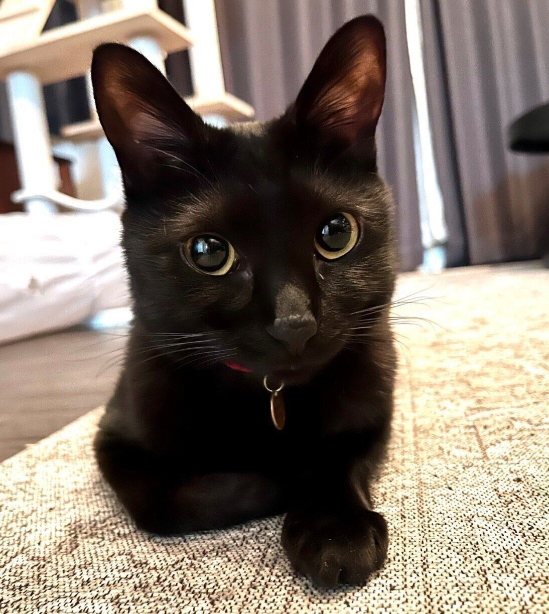 見つめるなのちゃん