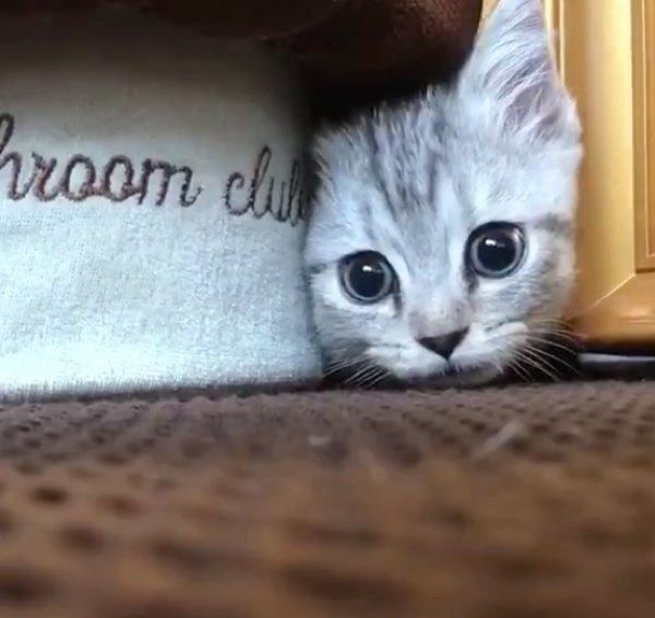 そろりそろりと進むリタロくん