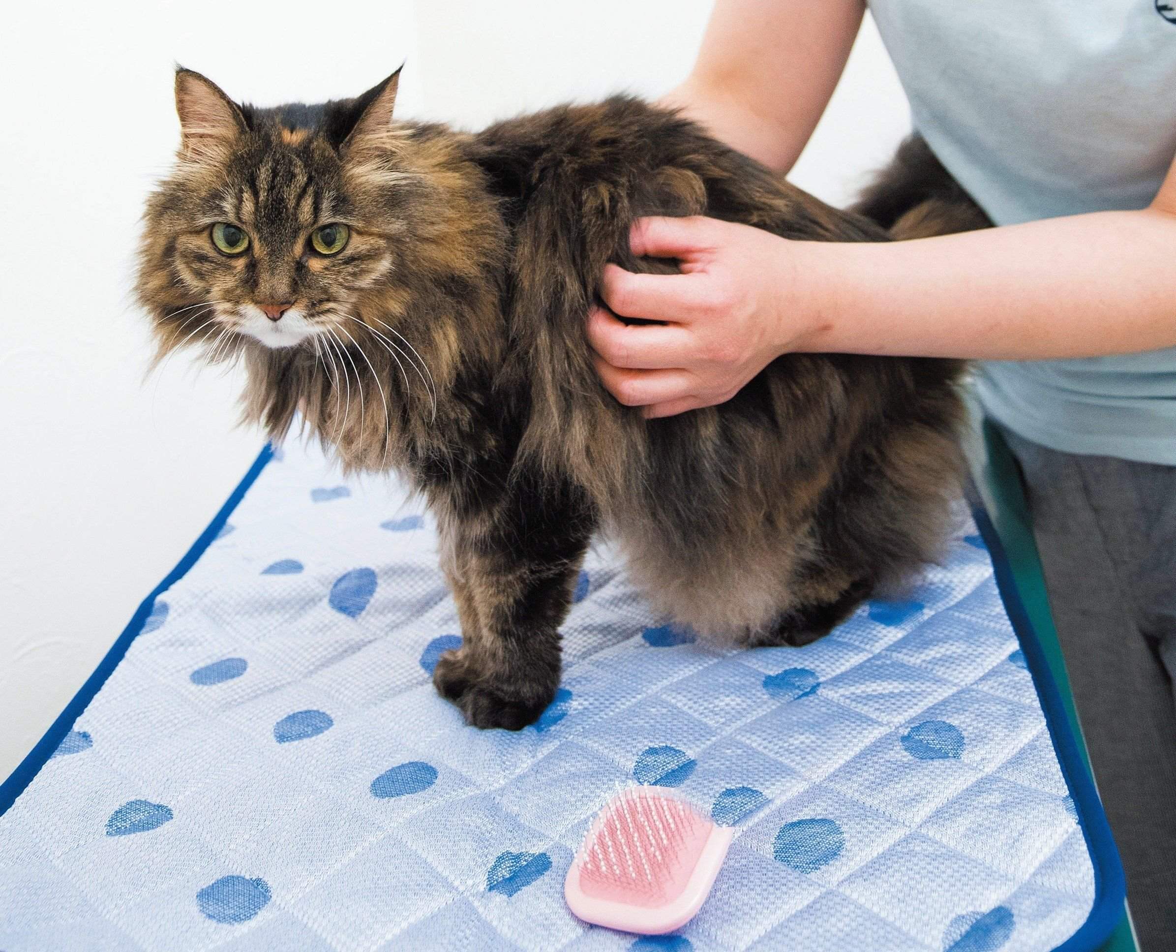 撮影／中川文作