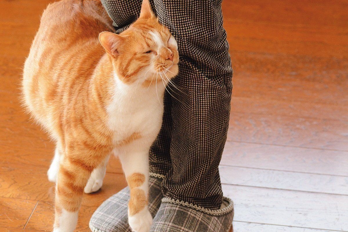 撮影／栗林　愛