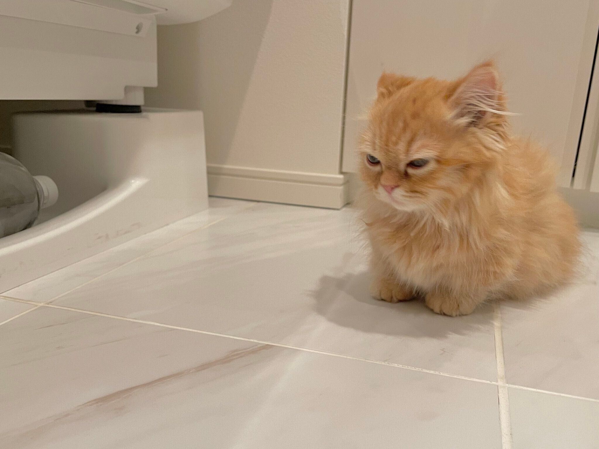 不満顔のうなちゃん