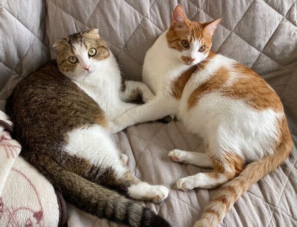大福くんとの2ショット