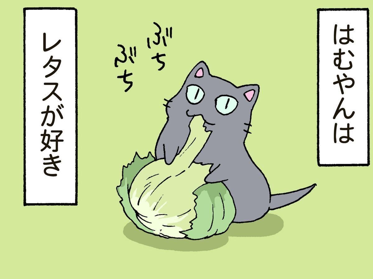 ©片倉真二／講談社