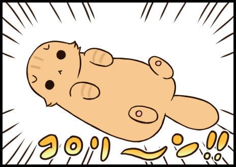「もふもふスコたん」サムネイル