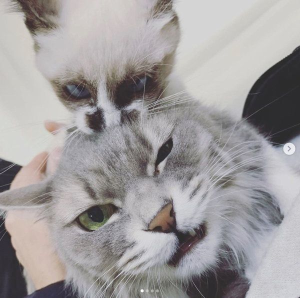 凛ちゃんと鈴ちゃん