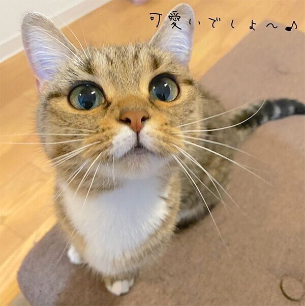 見つめるべにちゃん
