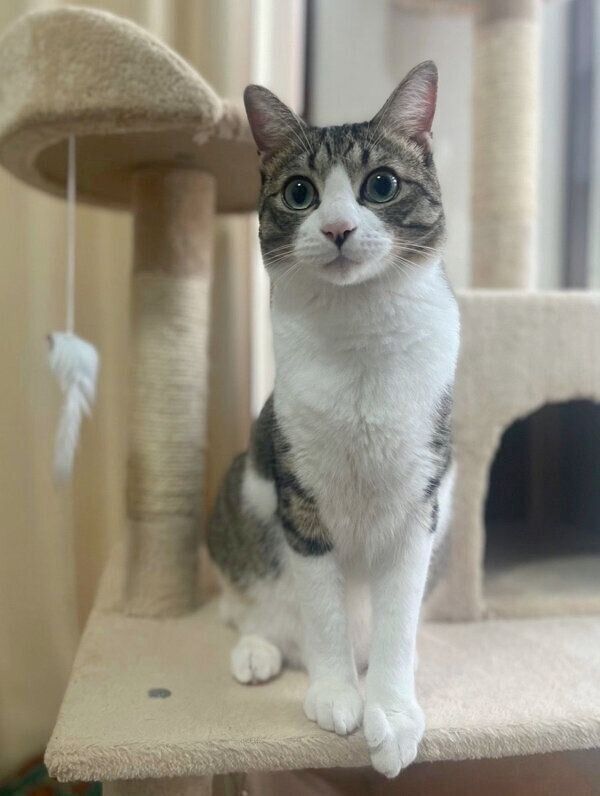 見つめるつくしちゃん