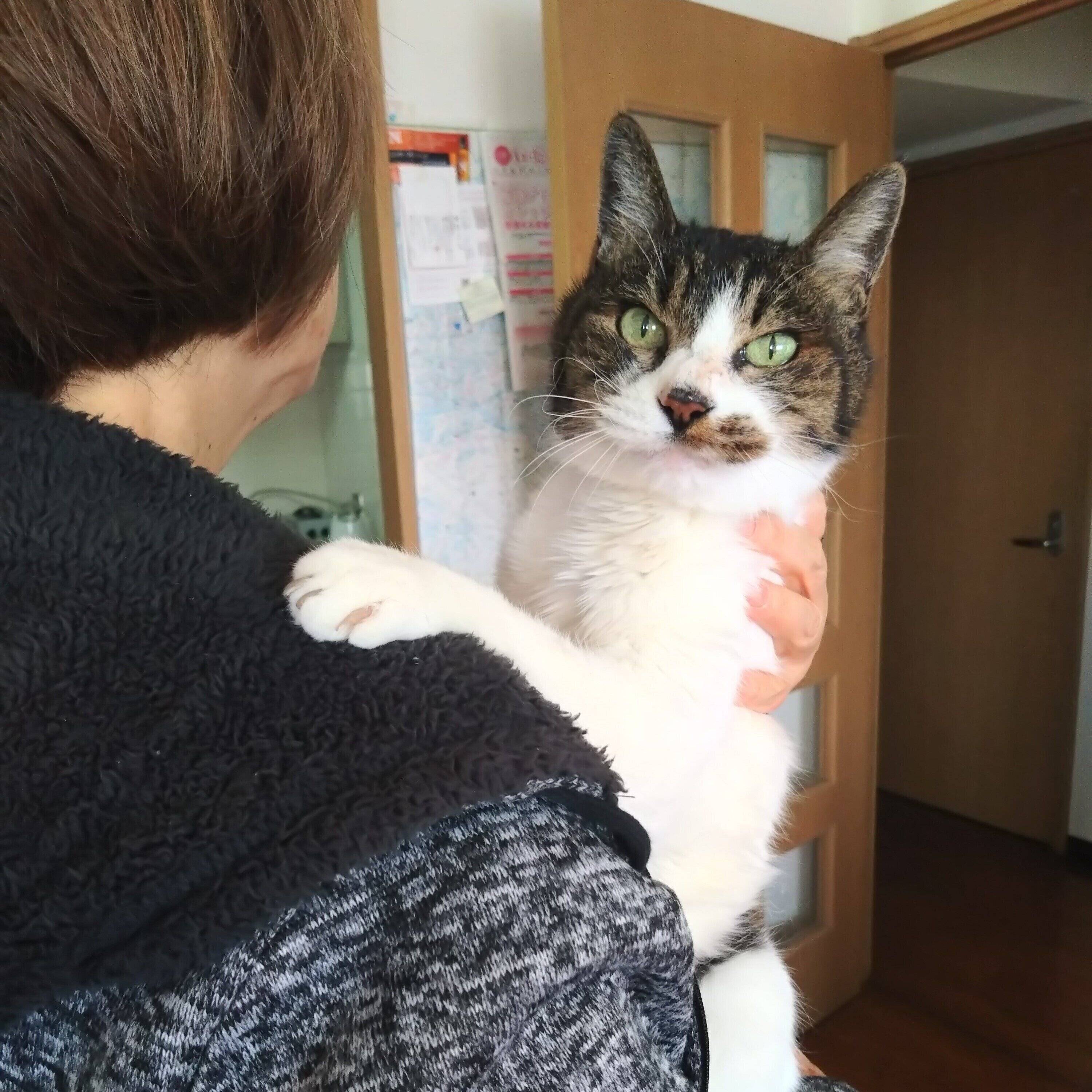 画像／ねこのきもち25年5月号