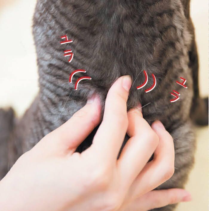 ユラユラマッサージ