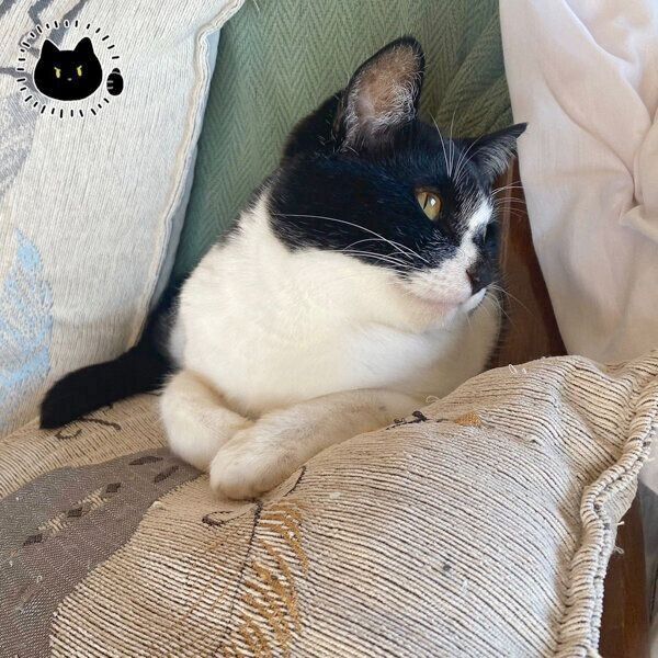 まったりするまめさん