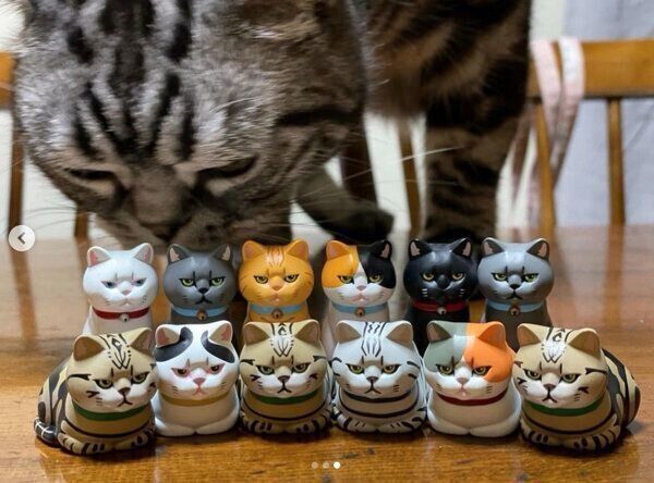 カプセルトイ「紙袋に入った猫3」