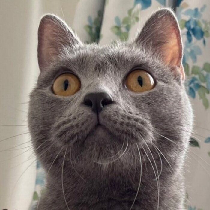 きょとんとした表情がかわいらしいイムくん