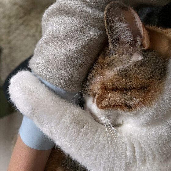 MIX　ミケ　あまえんぼ