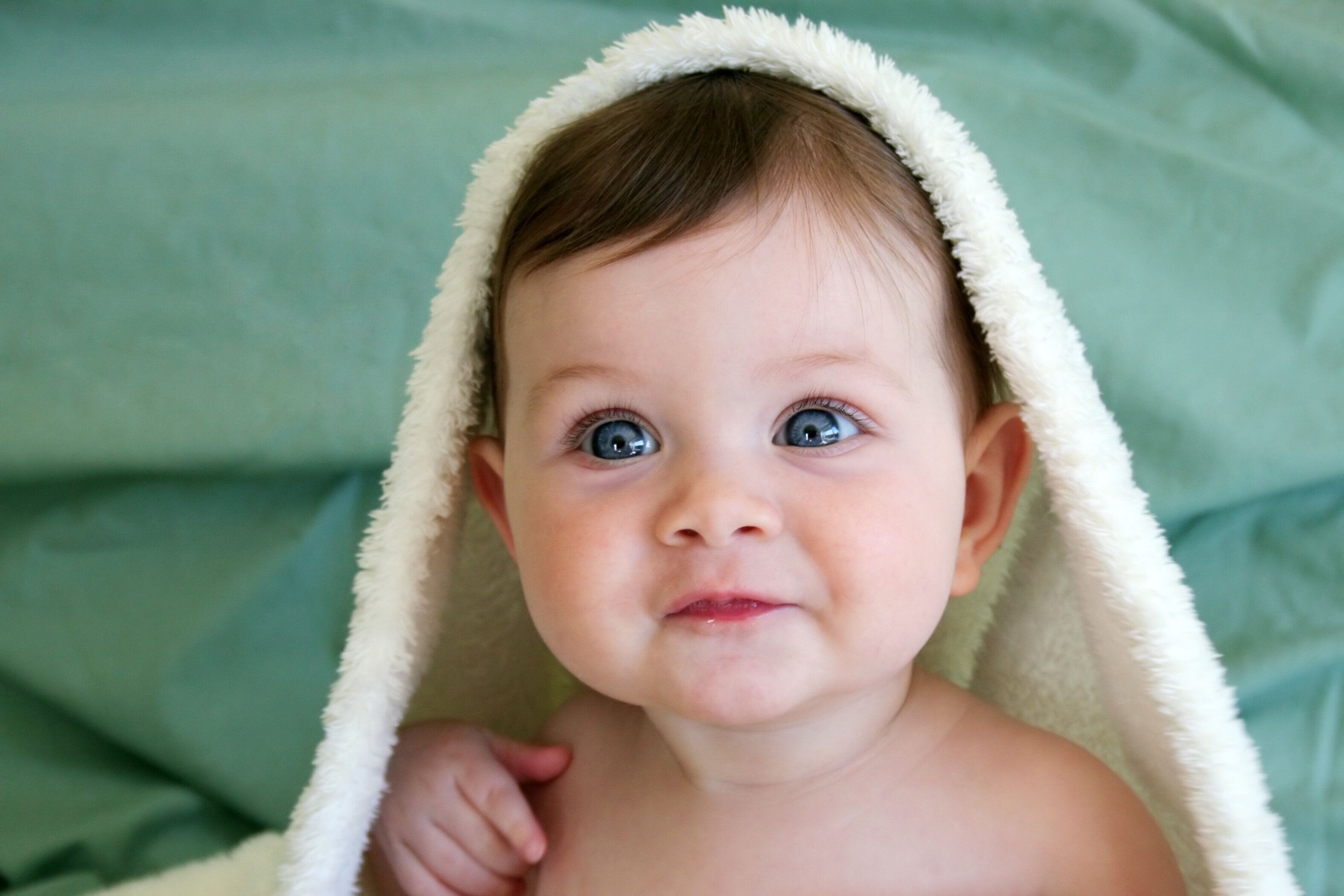 画像／iStock、Getty Images Plus