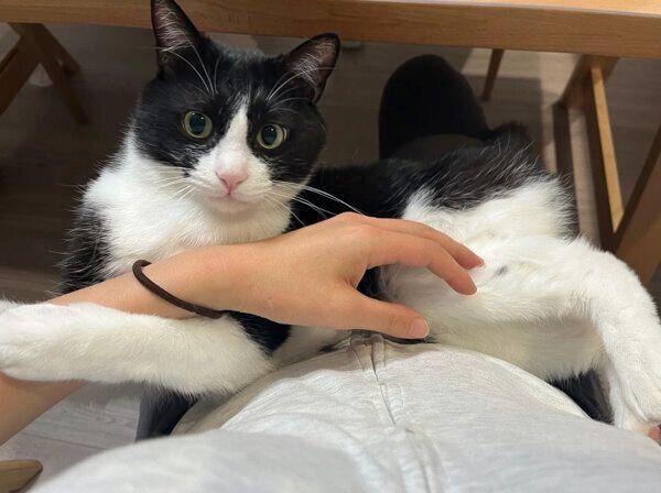 甘えるロロくん