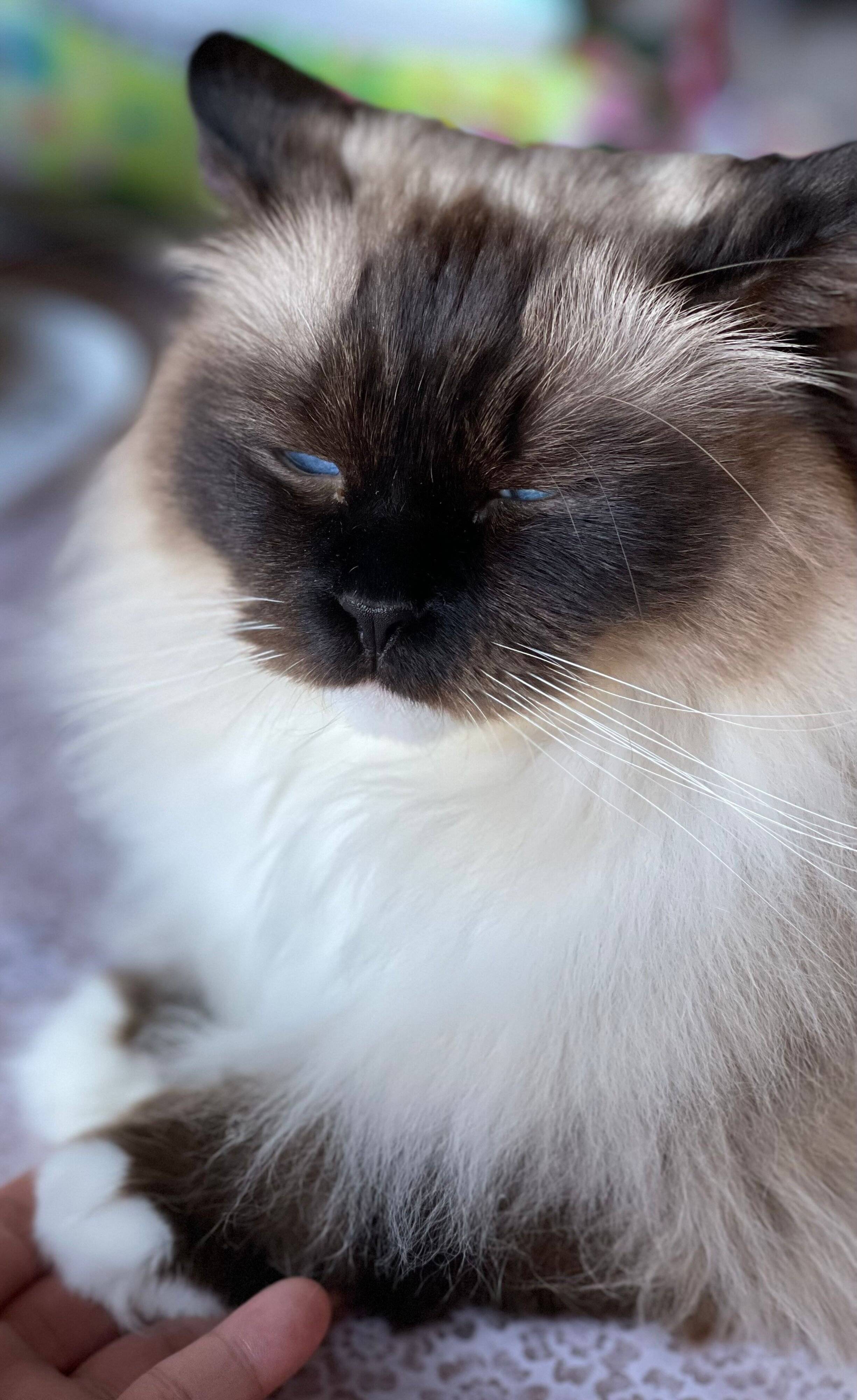 写真提供／読者