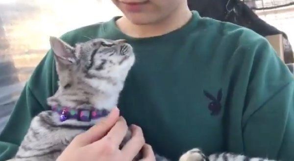 女子高生に抱っこされるコタローくん