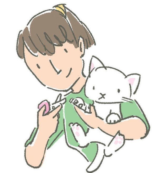 猫から直接うつりやすい病気