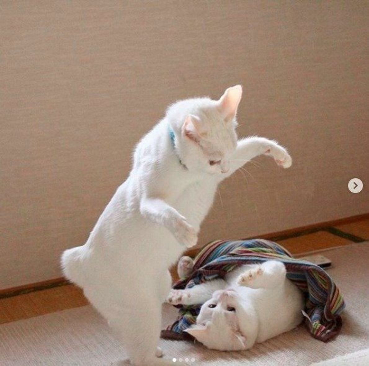 Ngowwer1quaanm Ngowwer1quaanm