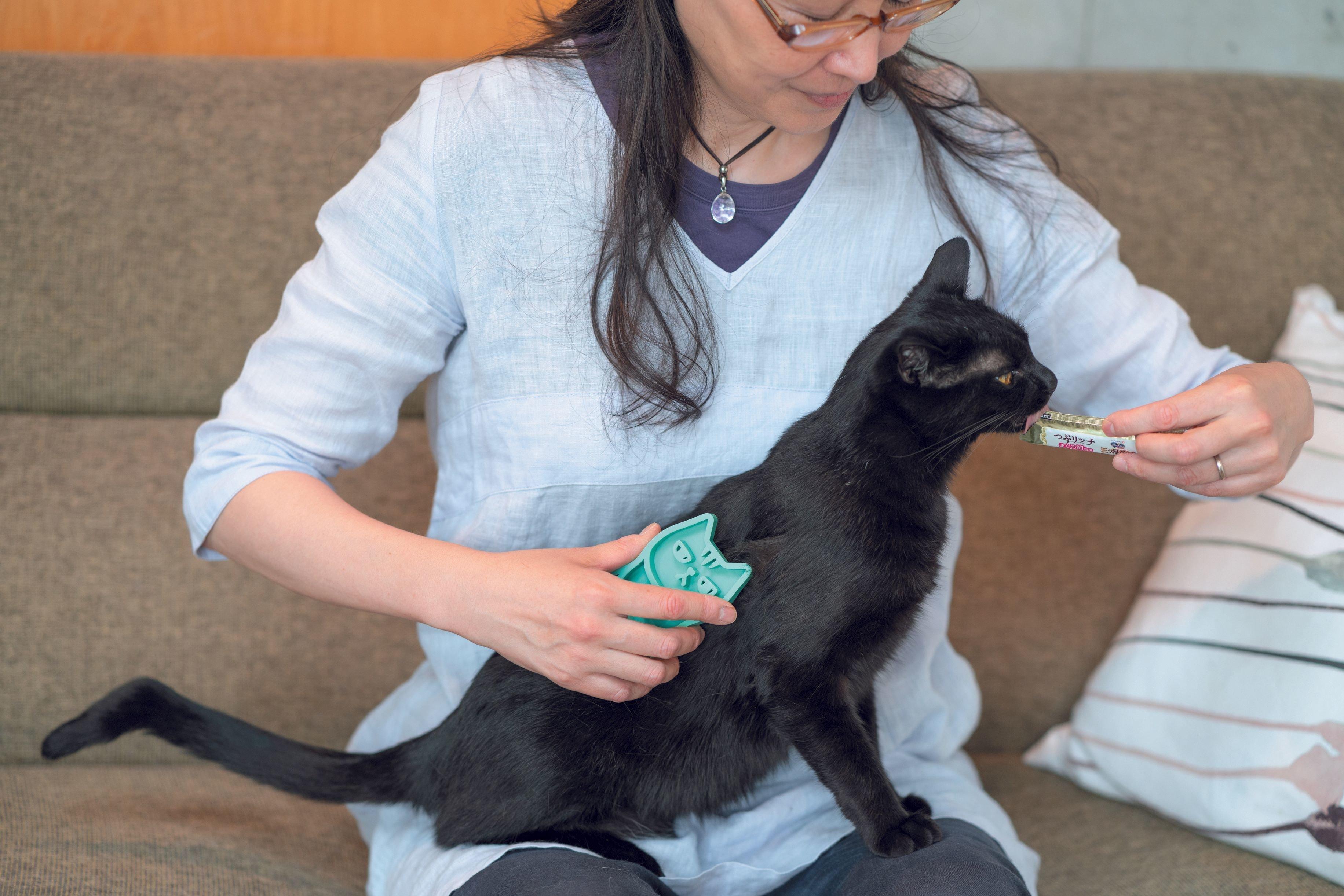 撮影／石原さくら