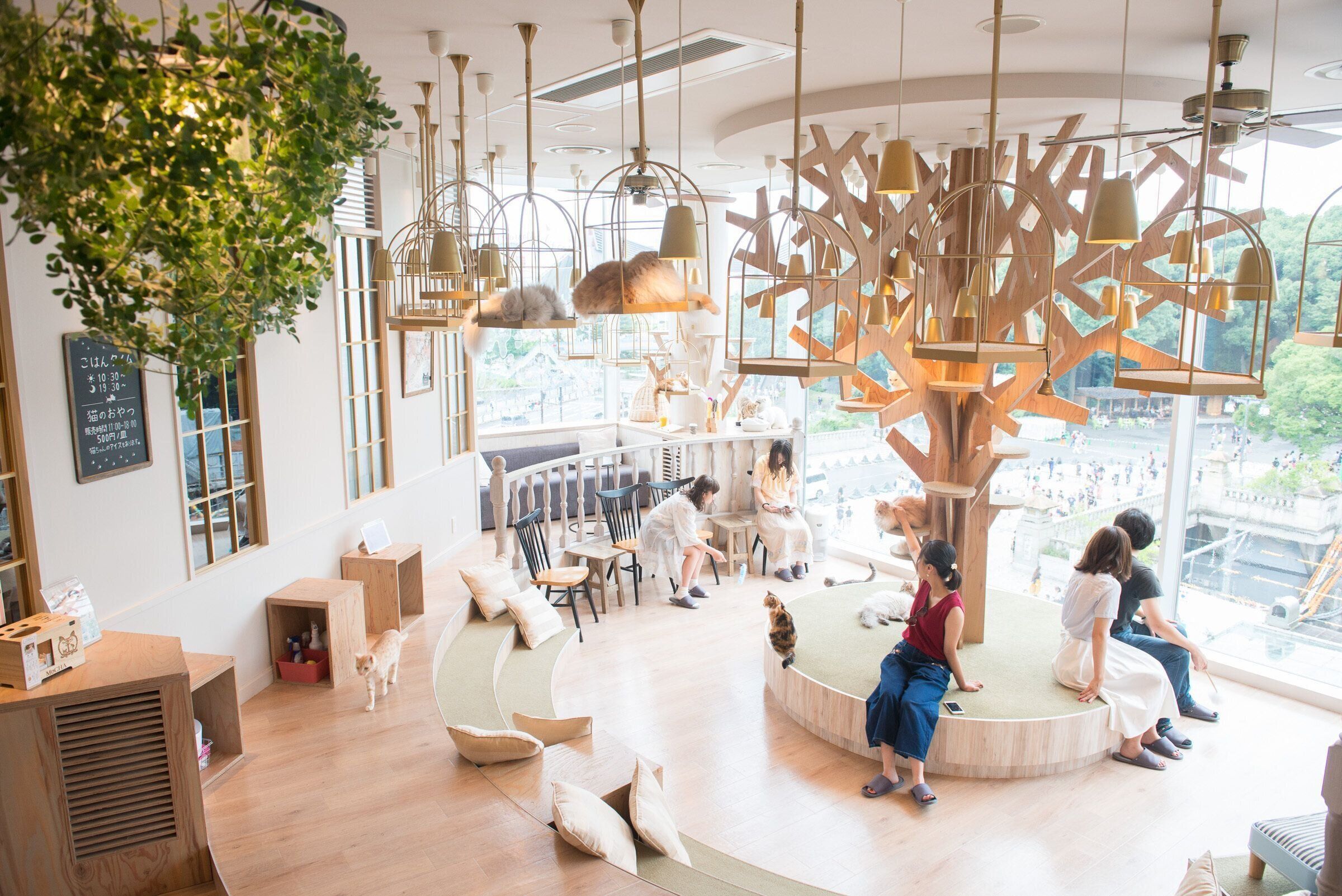 大きな窓から原宿の街並みが見渡せます