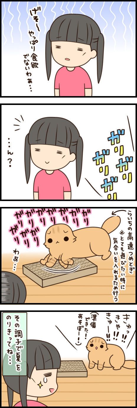 「もふもふスコたん」vol.28