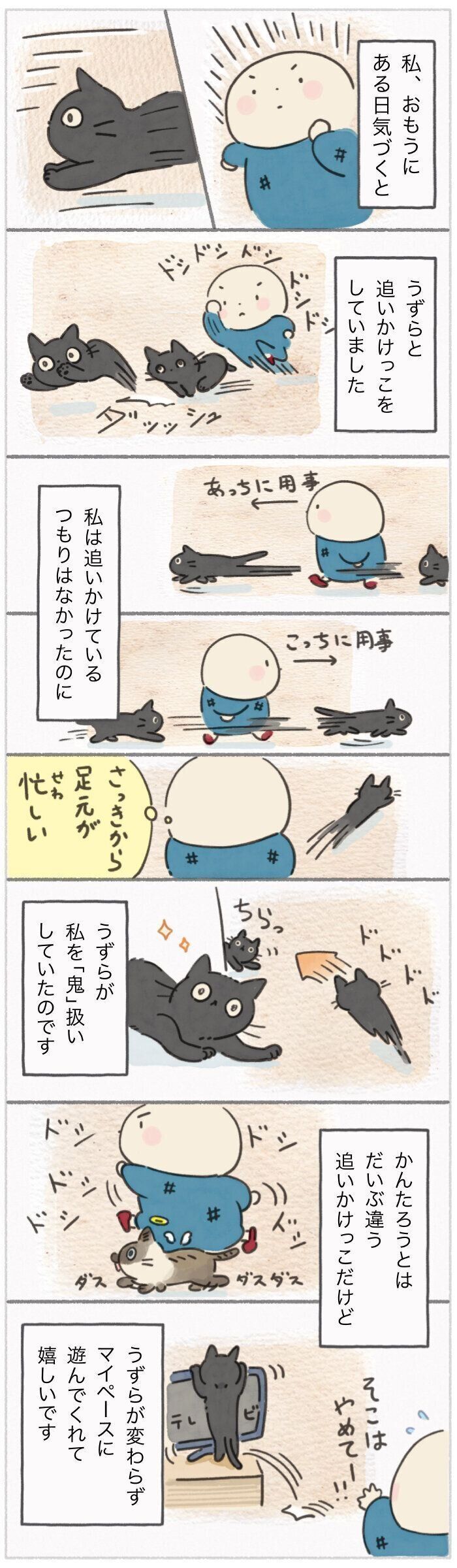 「ねこ連れ草」306話め