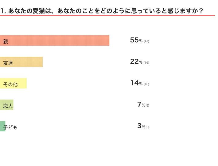あなたの愛猫はあなたをどう思っている？