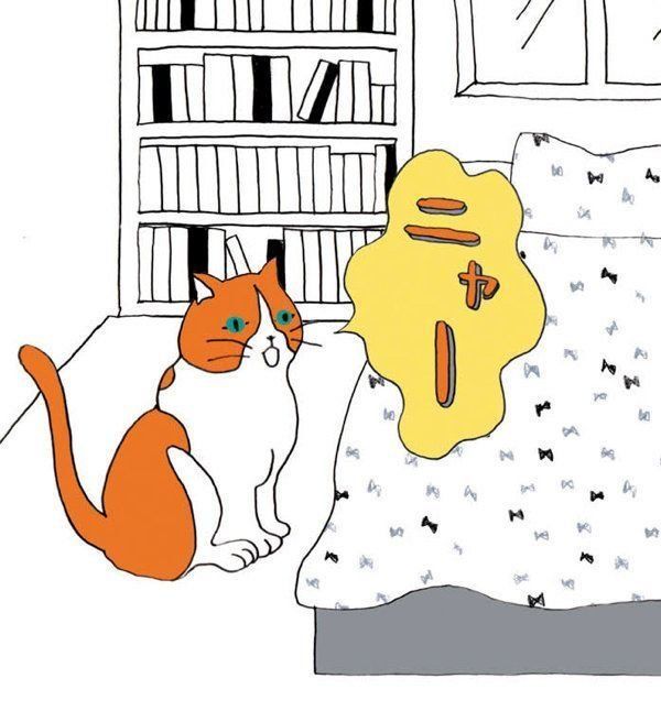 ほっとけない！猫の行動のお悩み