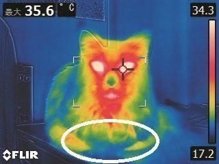 画像／2018年1月号「冷えとりマッサージ」