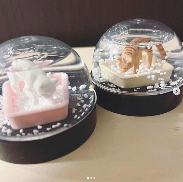 カプセルトイ「WaterDomeFactory 猫砂スノードーム」