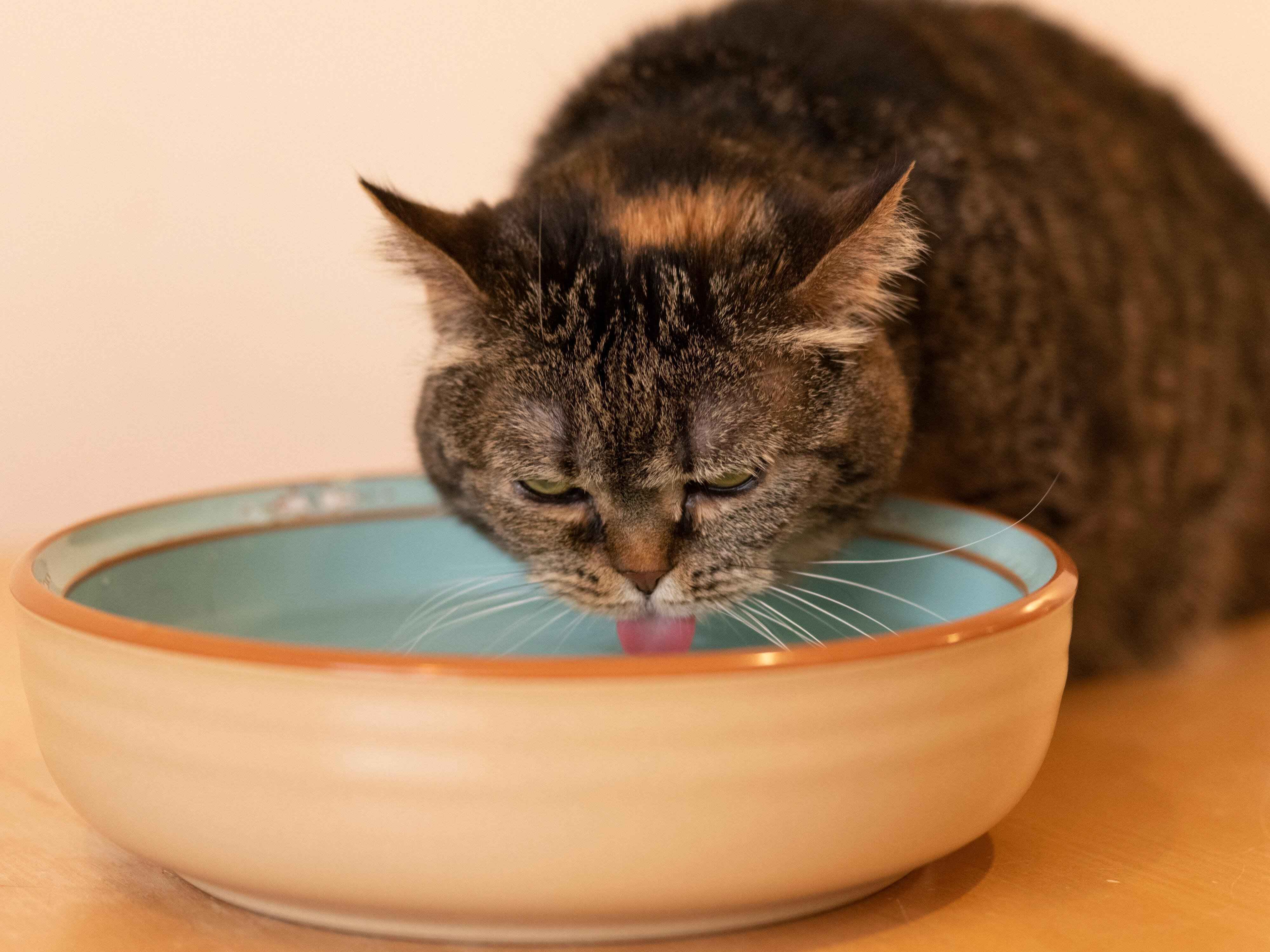 撮影／Akimasa Harada