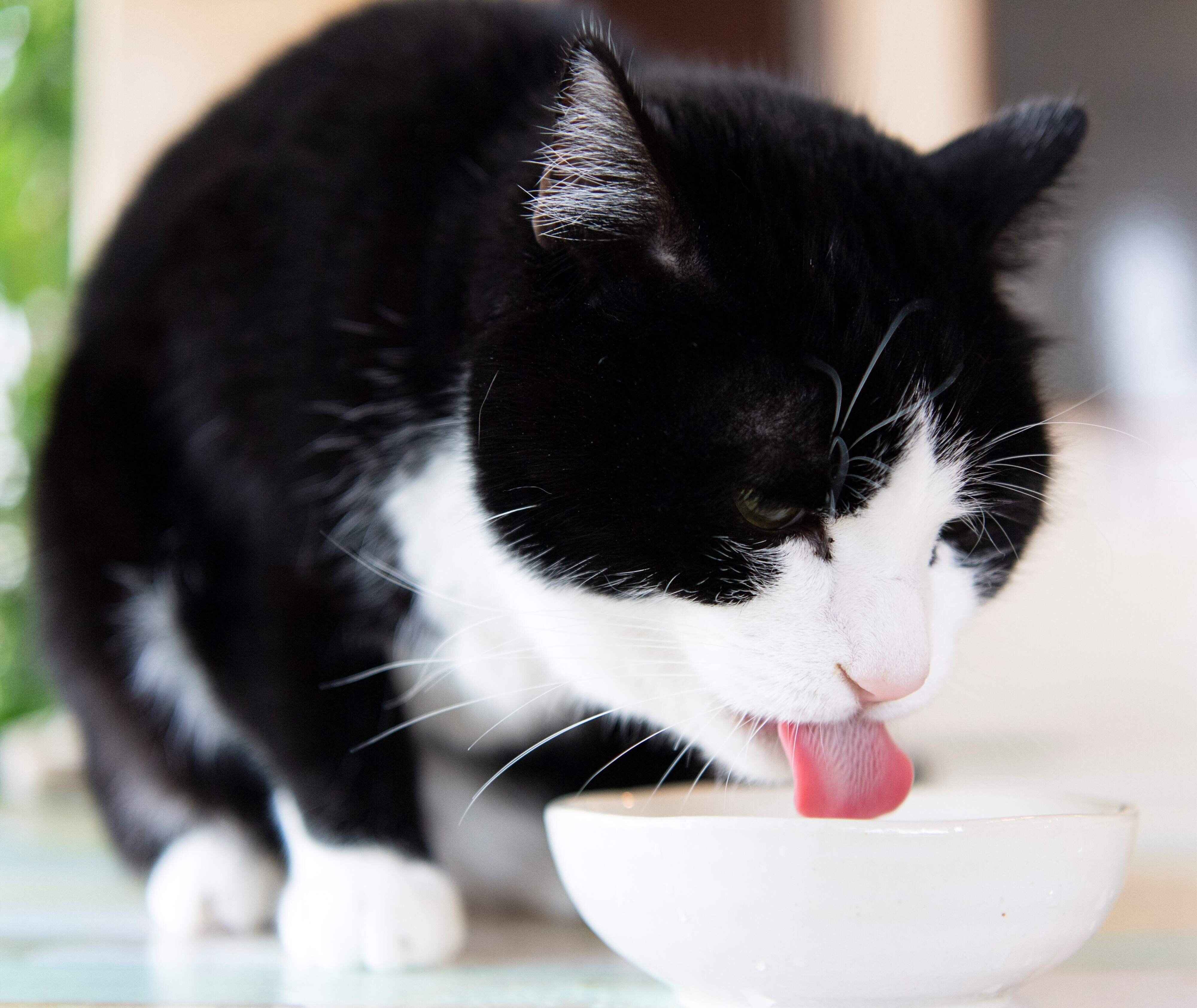 撮影／Akimasa Harada