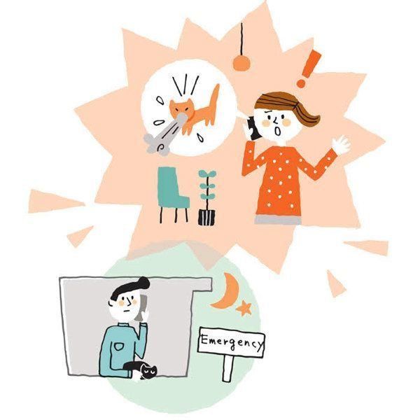 夜間救急のウソ・ホント