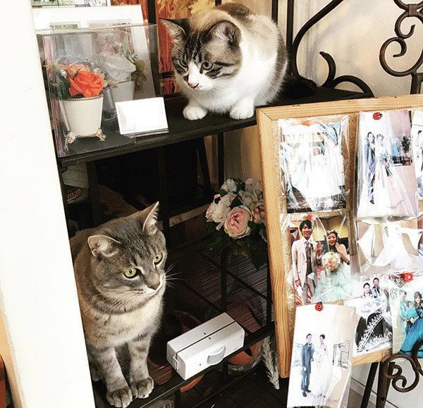 フックちゃんとばずちゃん