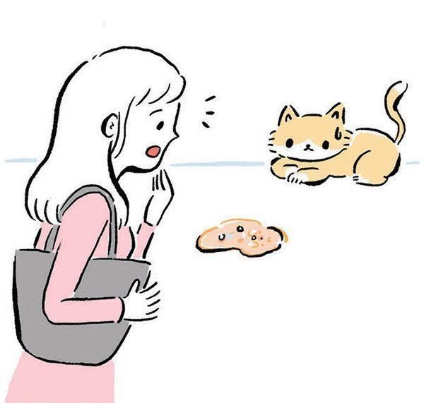嘔吐する猫