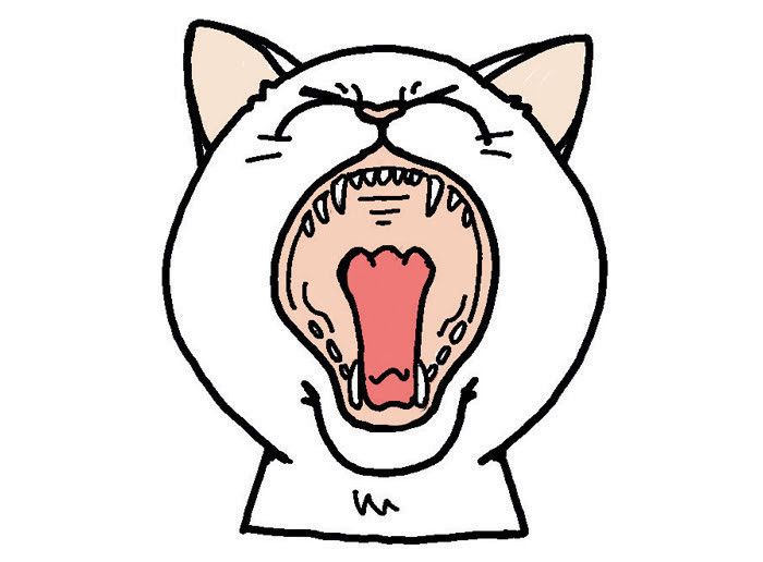 ねこのきもち2016年5月号