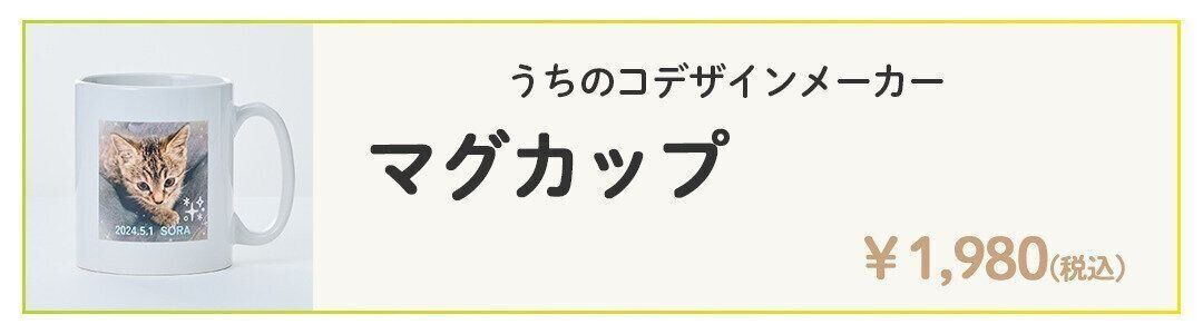 マグカップの詳細を見る