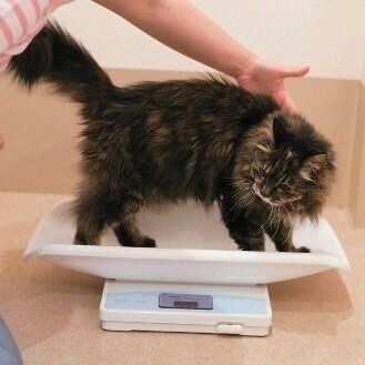 撮影／中川文作