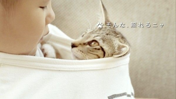 そんな、照れるニャ