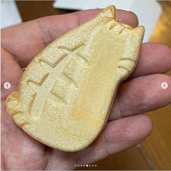 「にゃんこのモナカとキャラメルプリン」