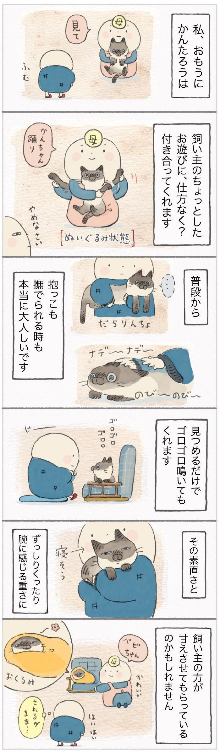 「ねこ連れ草」98話め