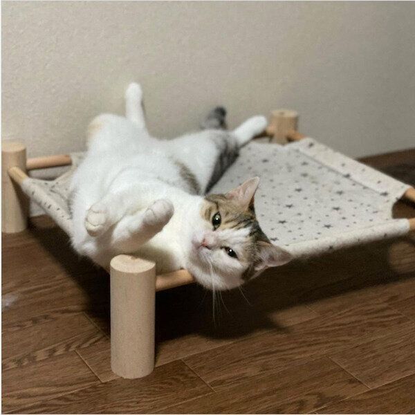 ダイソーの猫グッズ