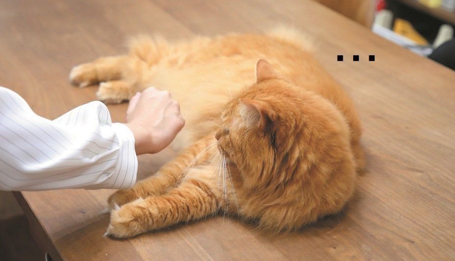 撮影／尾﨑たまき