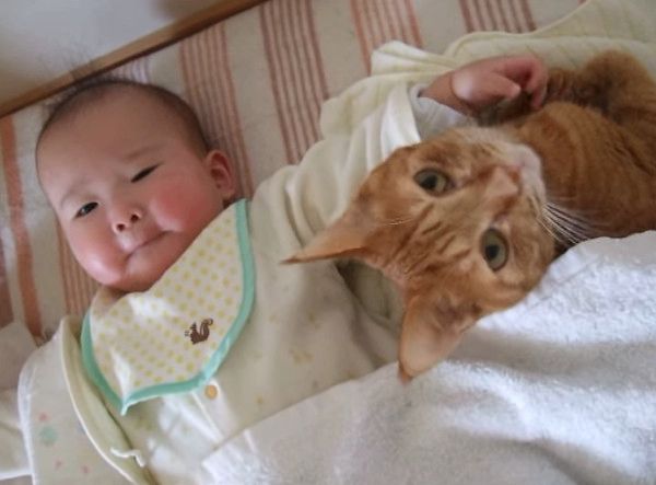 赤ちゃんと猫
