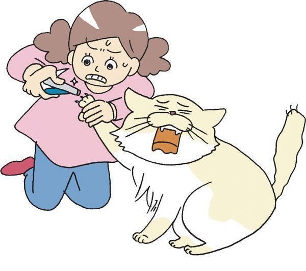 やりすぎると危険なお手入れ